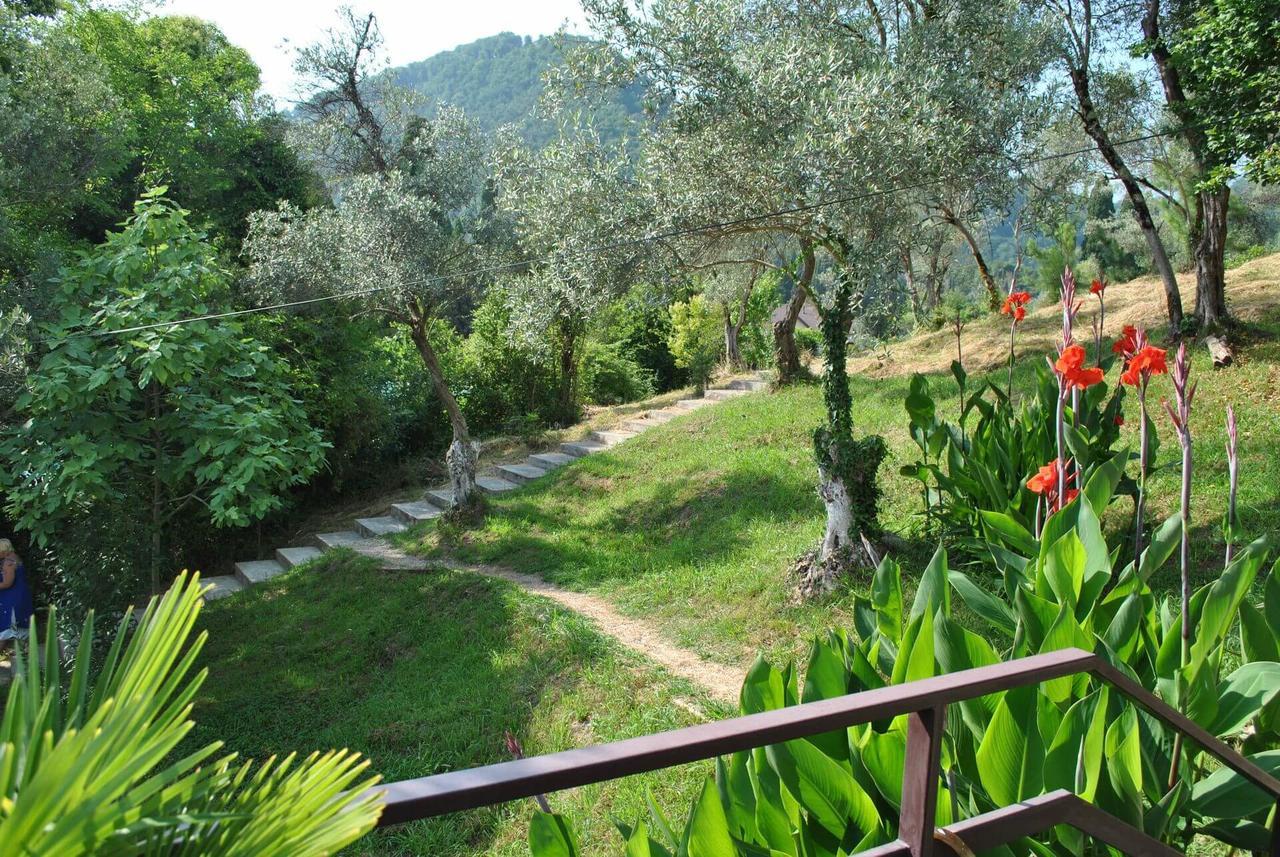 Villa Oliva New Athos Exterior foto